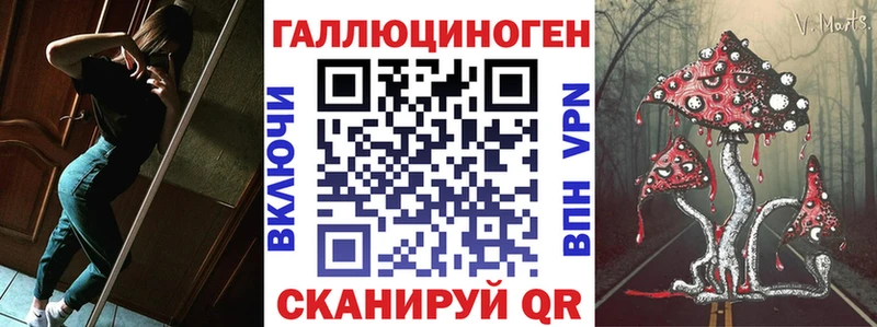даркнет как зайти  Дальнегорск  Галлюциногенные грибы Cubensis 